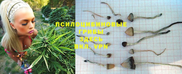 трава Козельск