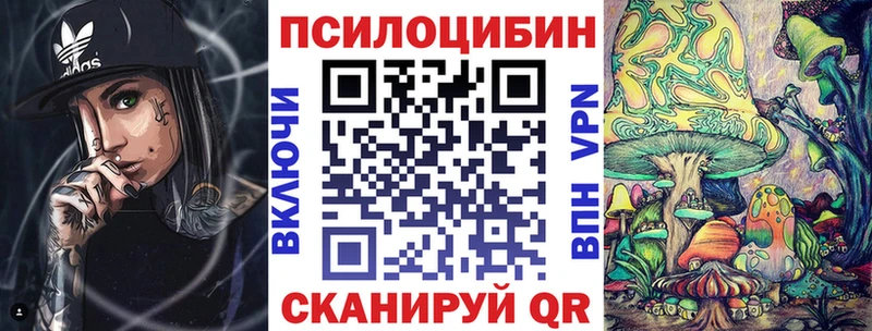 Купить где  Оха  Псилоцибиновые грибы GOLDEN TEACHER 